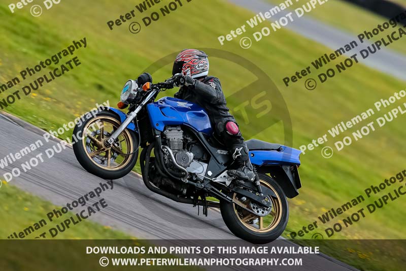 PJ Motorsport 2019;anglesey no limits trackday;anglesey photographs;anglesey trackday photographs;enduro digital images;event digital images;eventdigitalimages;no limits trackdays;peter wileman photography;racing digital images;trac mon;trackday digital images;trackday photos;ty croes